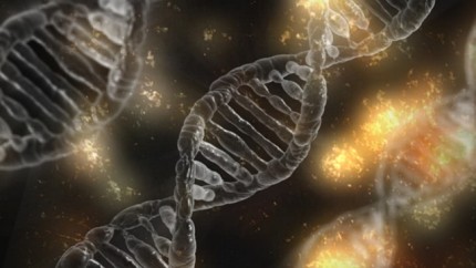 dna-1903318-640.jpg